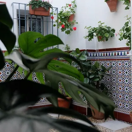Casa Angelita *